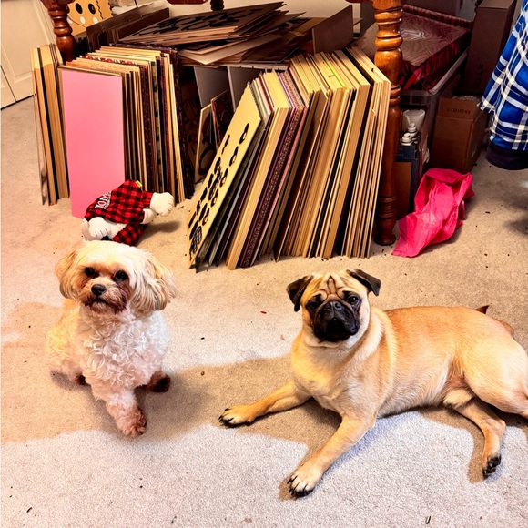 LIVE SHARE SHOW FLYER 🔥🔥🪩💃PLEASE LIKE AND SHARE THANK YOU🪩🕺🔥🔥 - Picture 3 of 16